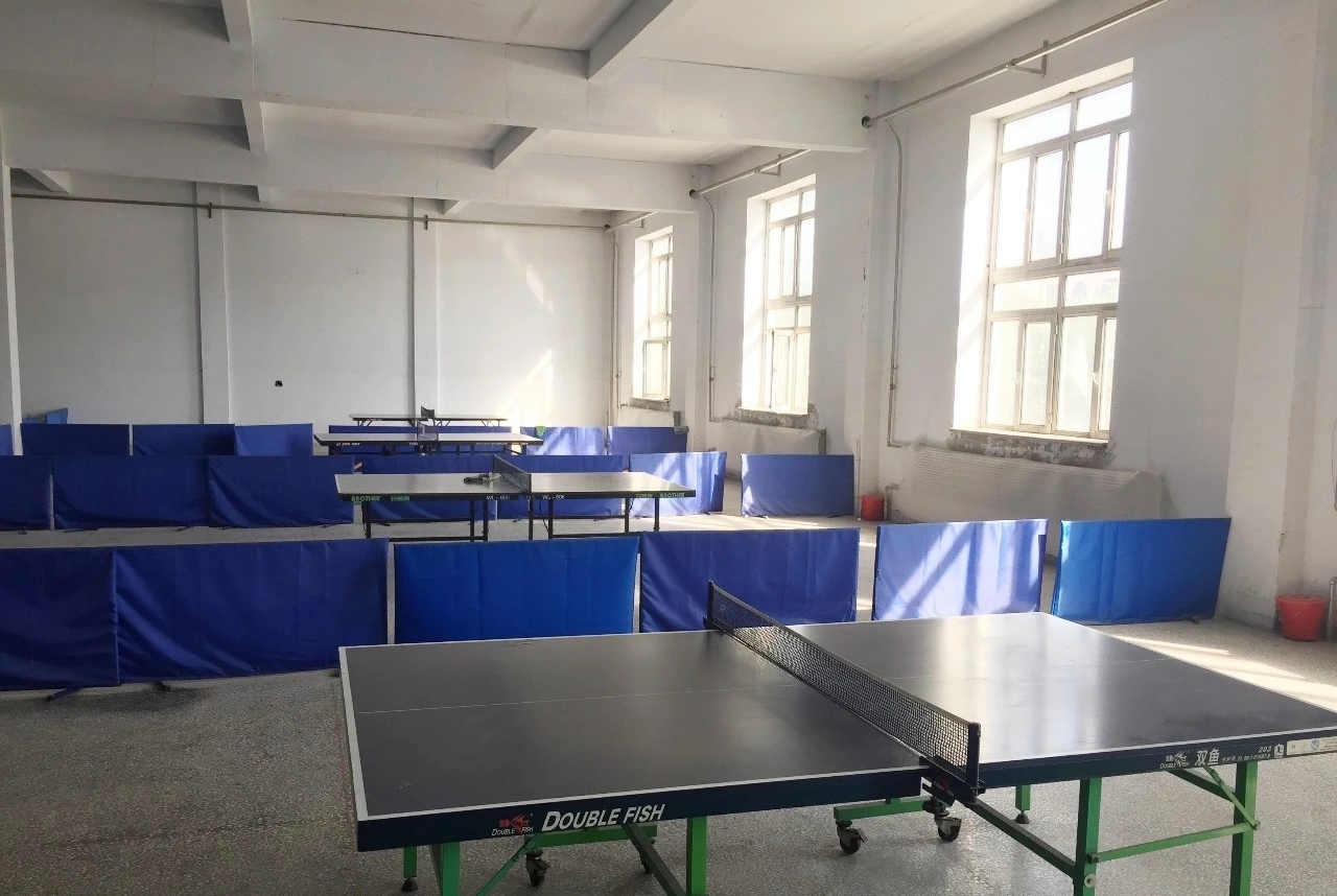 Table Tennis Arena